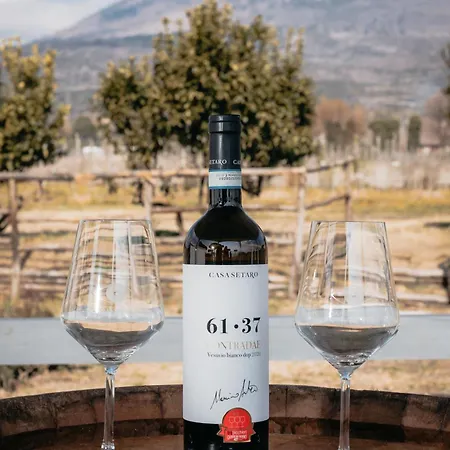 Vigna Delle Rose Alloggio per agriturismo Pompei