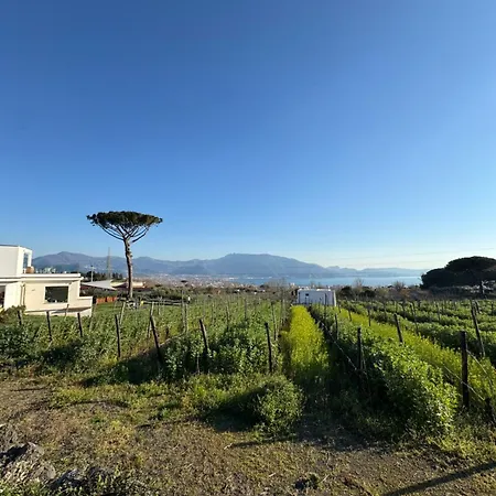 Alloggio per agriturismo Vigna Delle Rose *